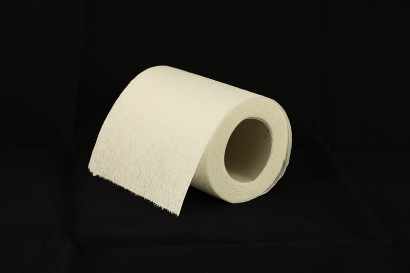 Comment éliminer les vers noirs dans les toilettes en 2026 : solutions efficaces