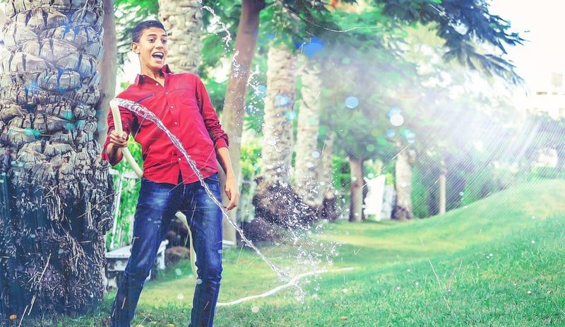 Découvrez les tendances 2026 à la boutique du jardinier pour un jardin éclatant